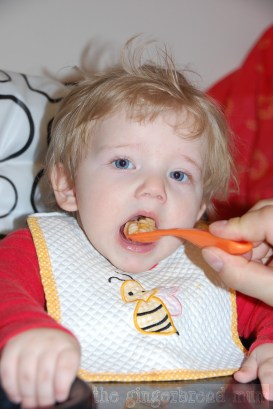 One year ago today I blogged my first recipe: Tomato Pasta Sauce (and I still regularly make it)