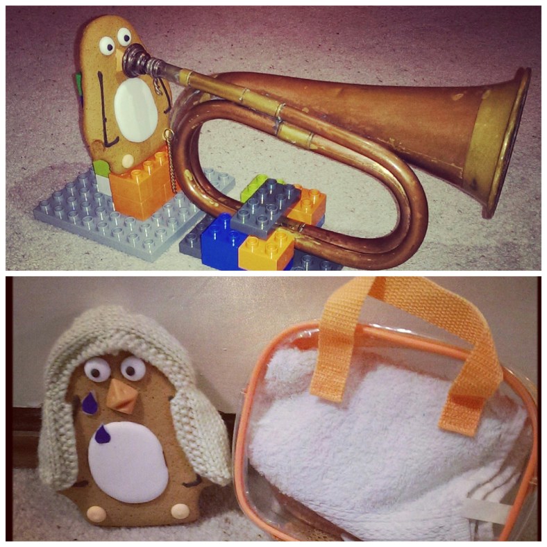 Perry the Penguin #perryontour