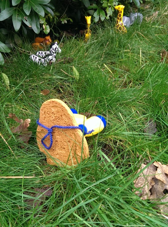 Perry the Penguin #perryontour