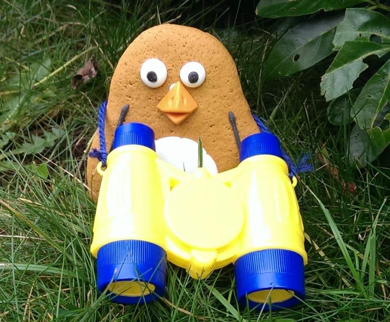 Perry the Penguin #perryontour