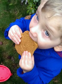 Perry the Penguin #perryontour