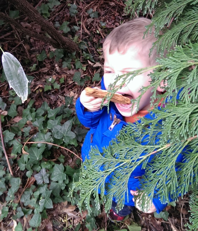 Perry the Penguin #perryontour