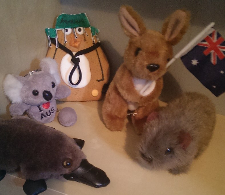 Perry the Penguin #perryontour